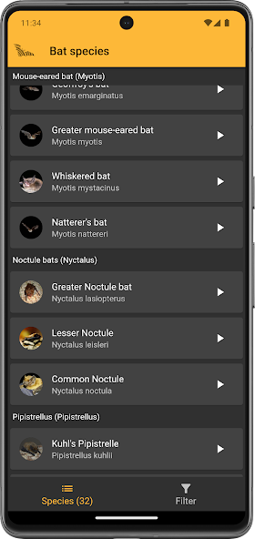 BatLib