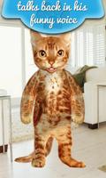 Real Talking Cat