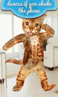 Real Talking Cat