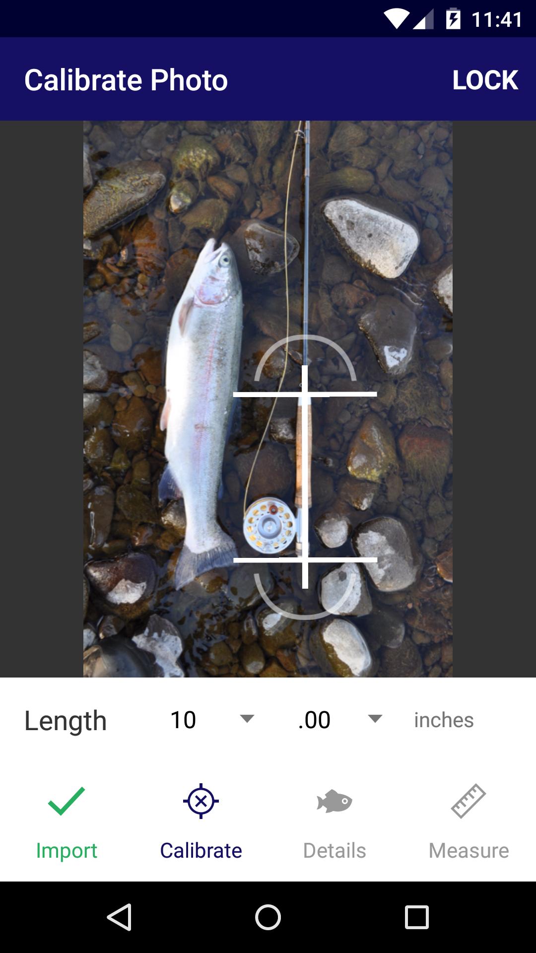 FishFigure