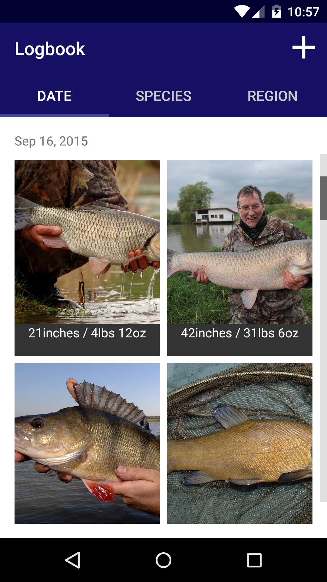 FishFigure