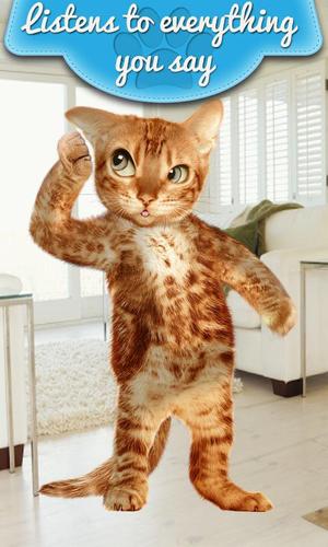 Real Talking Cat
