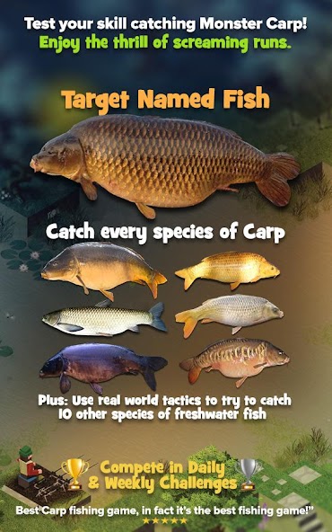 Carpcraft