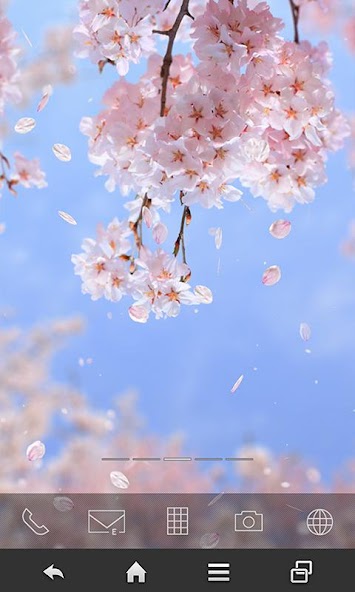 SakuraMoment