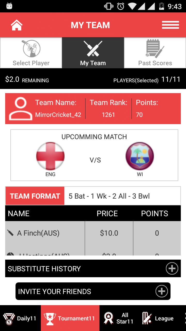 Mirror Cricket 11