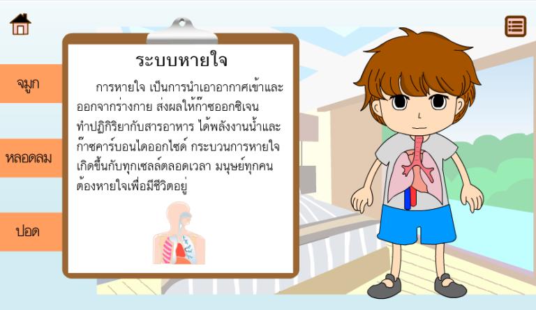 Body System