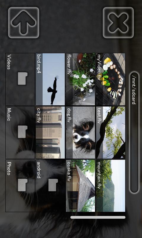 Moai FLV Player