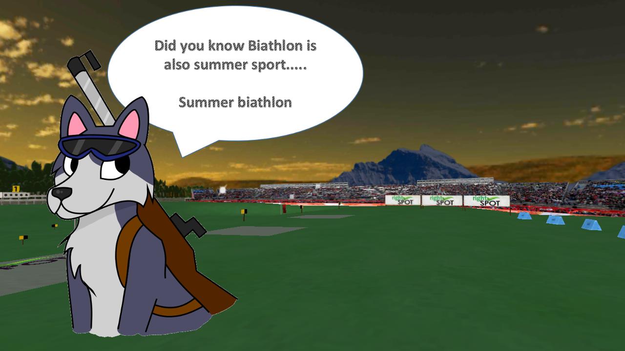 Biathlon x1