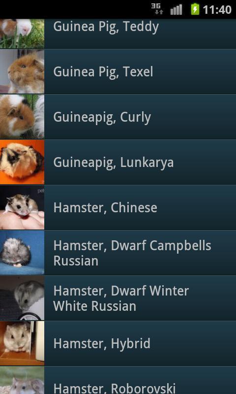 Rodents