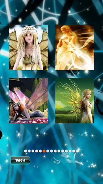 Fairy Wonderful Puzzle