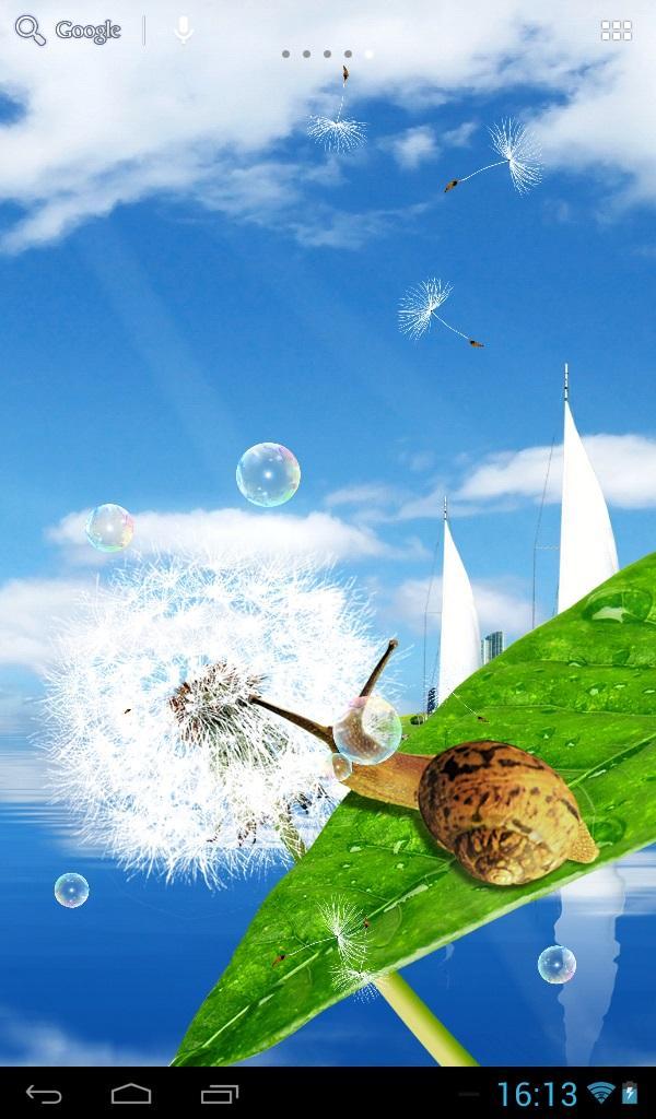 Dandelions