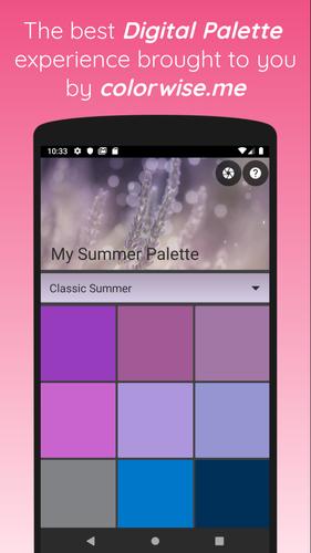 My Summer Palette