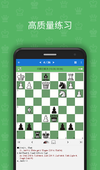 Chess King