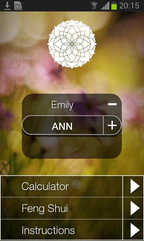 Feng Shui Number
