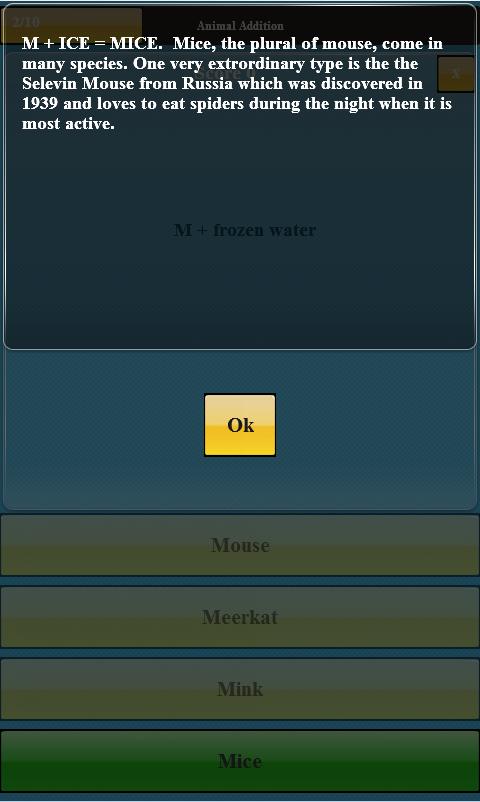 Brain Trivia Quiz