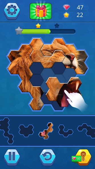 Jigsaw Hexa Puzzle