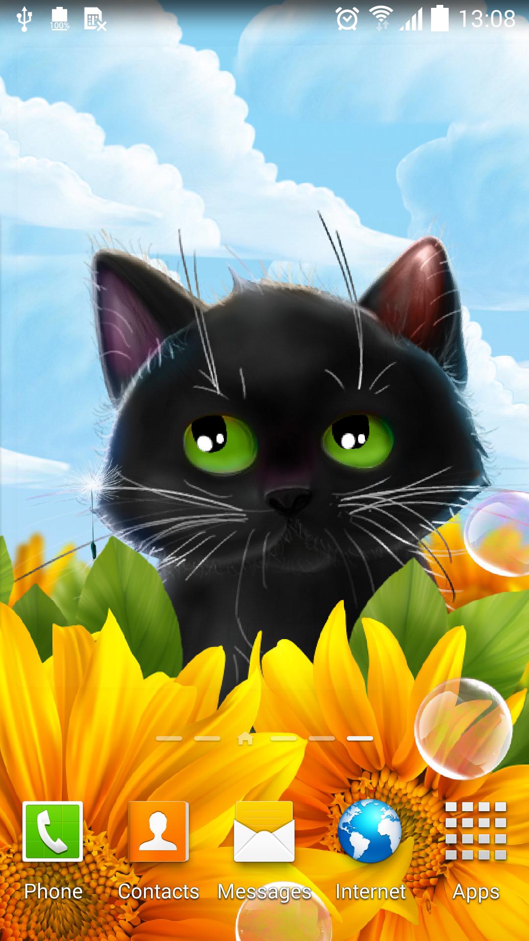 Cute Kitten Live Wallpaper