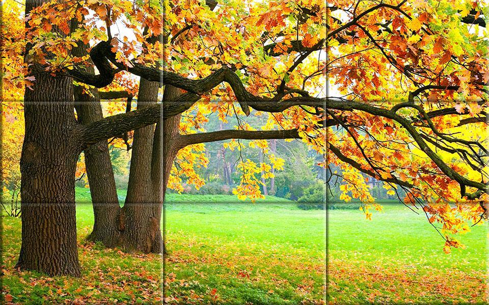 Puzzle - Beauty Of Nature