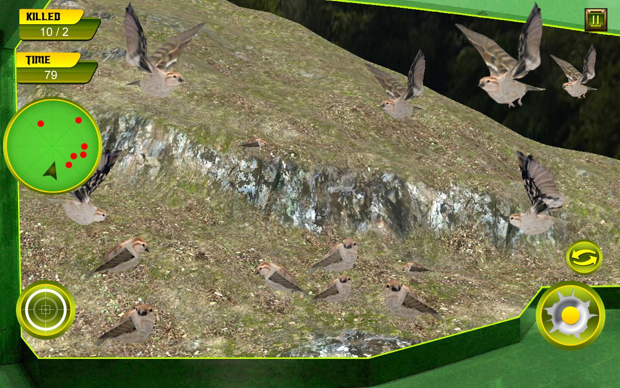 Sparrow Hunting