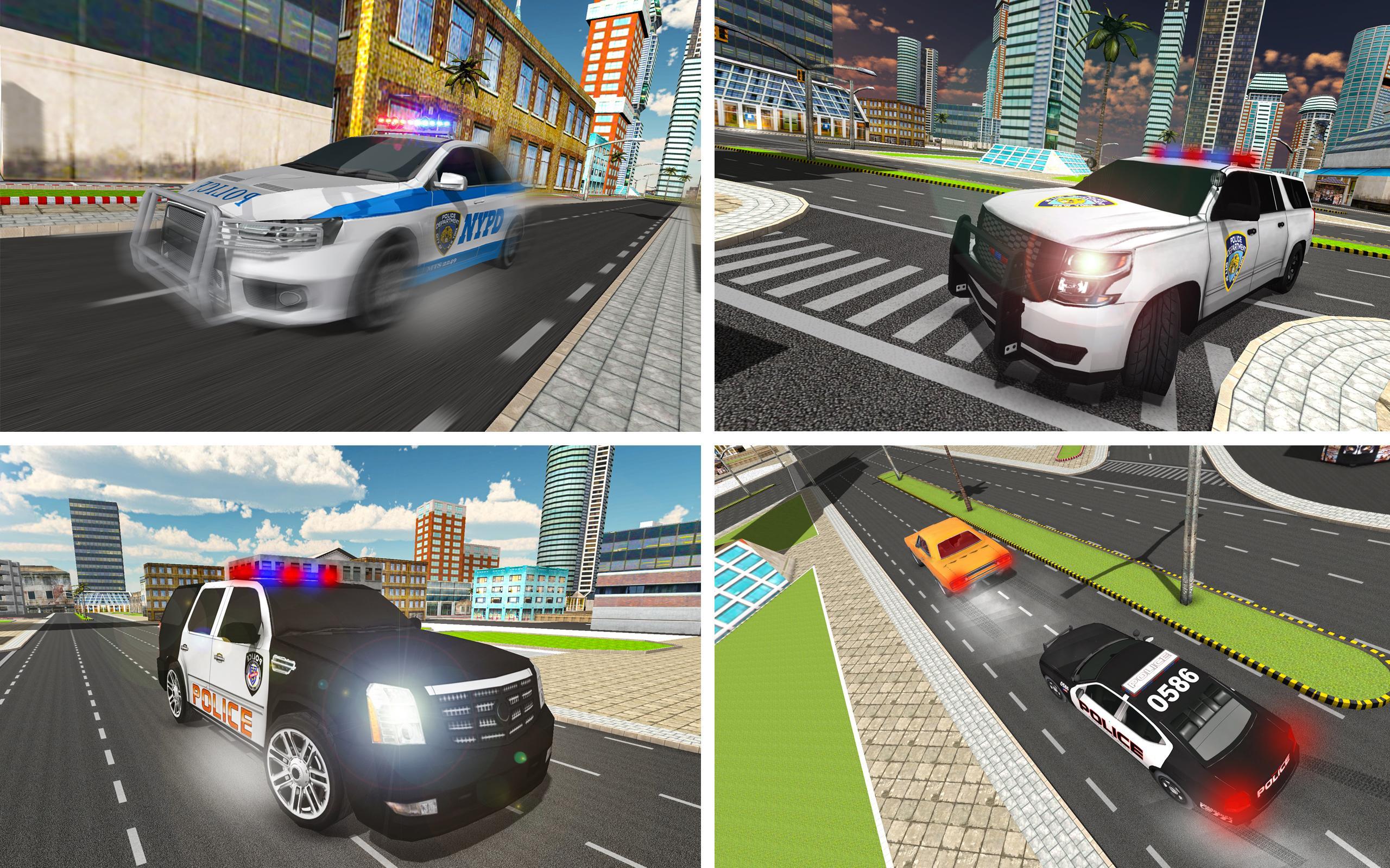 Police Car Chase-Criminal Case
