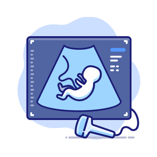 Pregnancy Ultrasound Guide