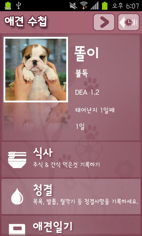 Dog Note