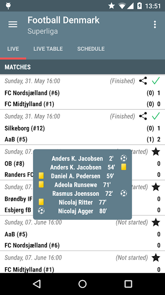 Football Denmark