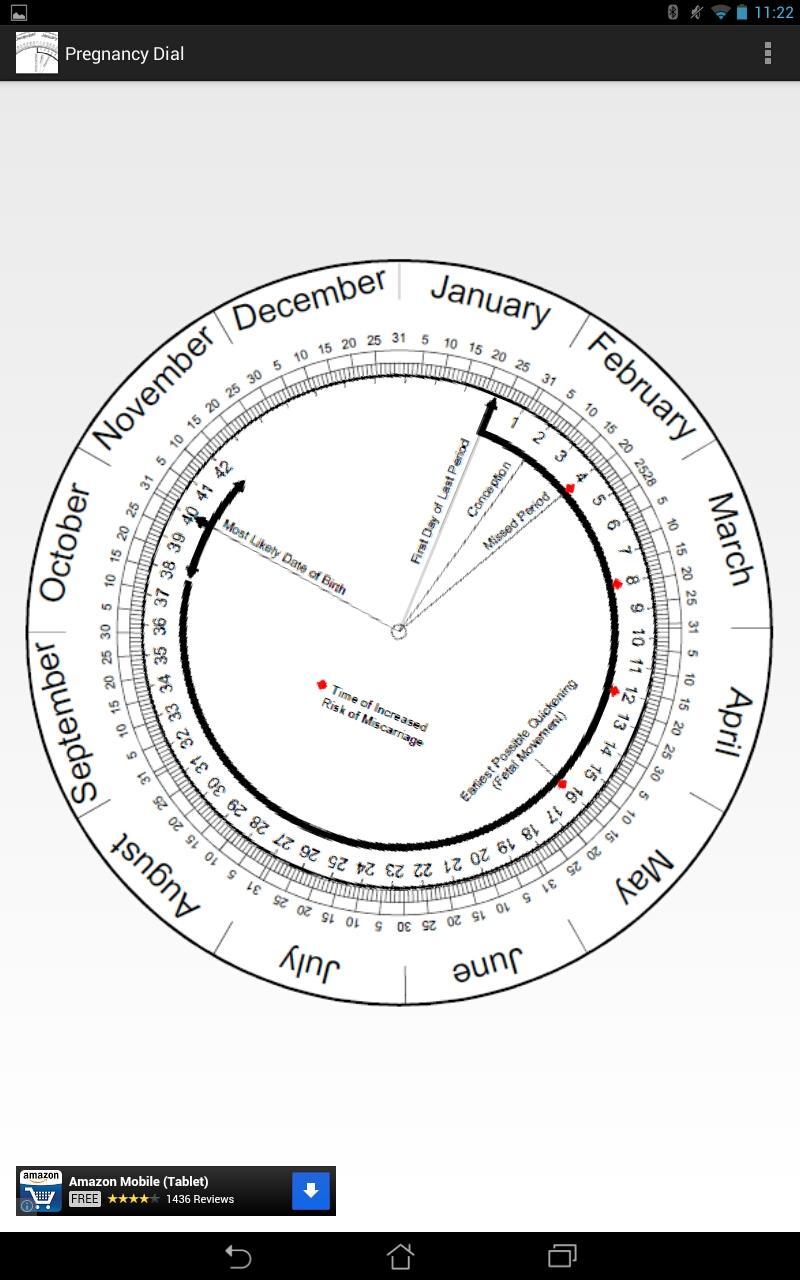 Pregnancy Calculator (Wheel)