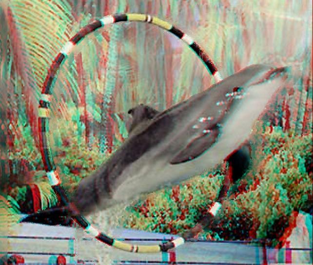 Master 3D Movies