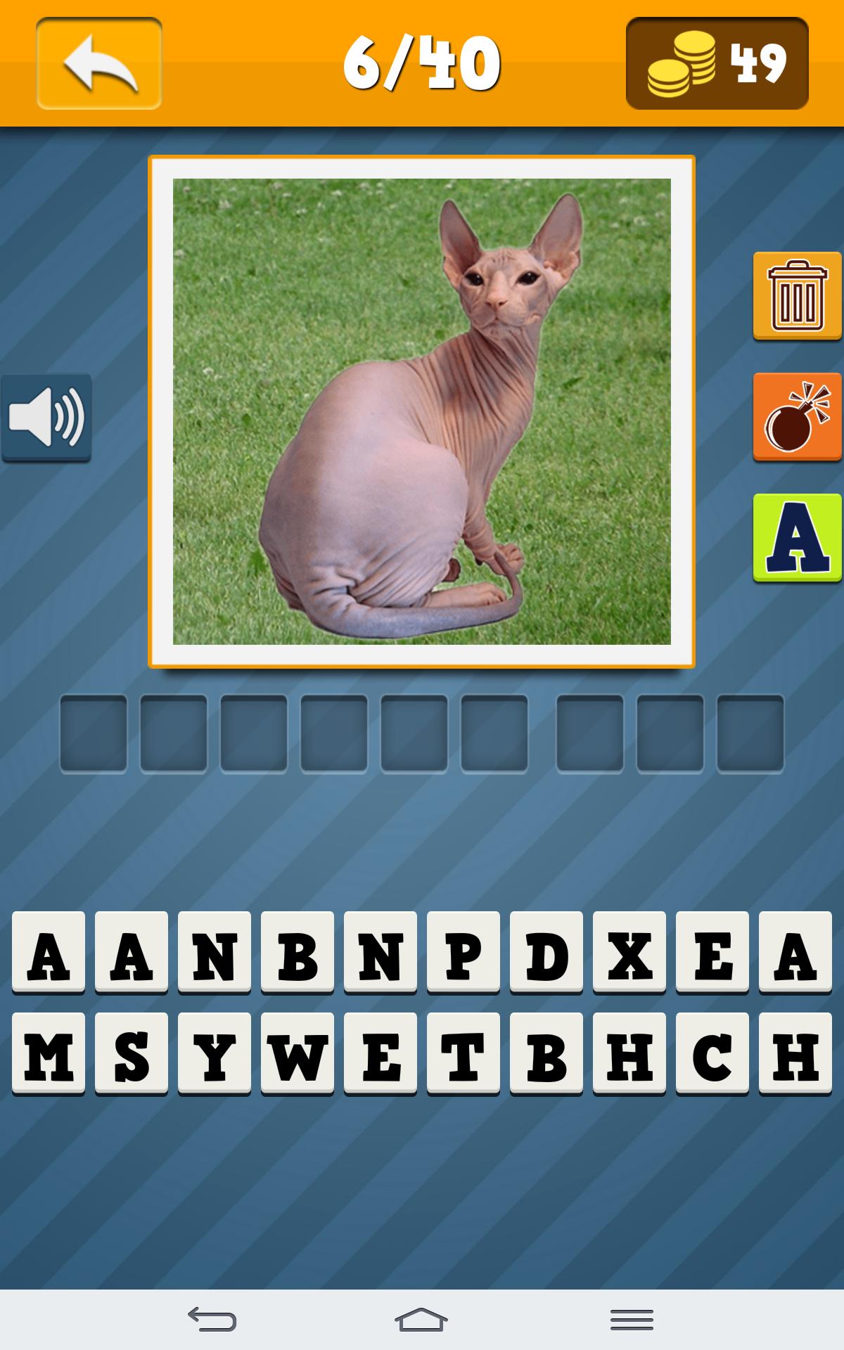 Cats Quiz