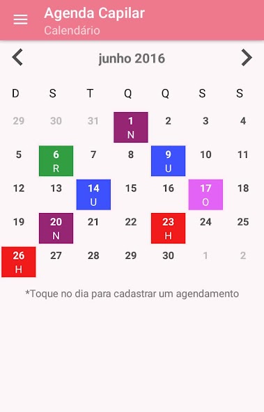 Agenda Capilar
