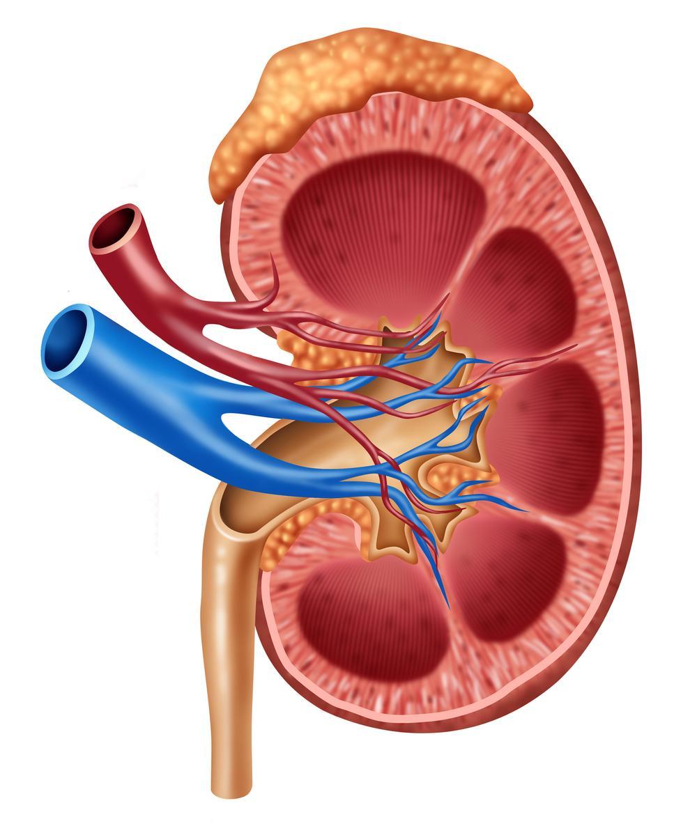Score Index for Haemodialysis