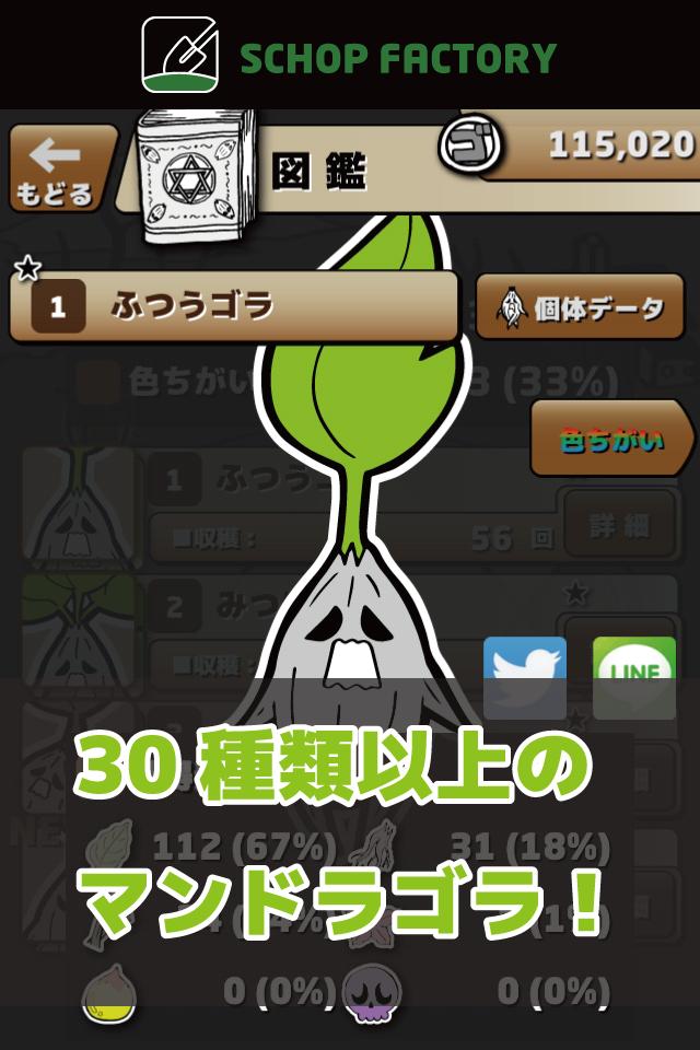 Mandragora