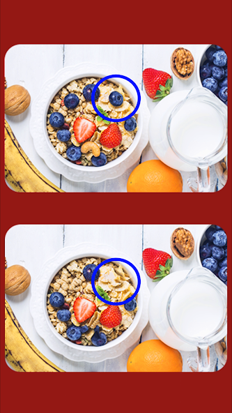 Spot The Differences Game