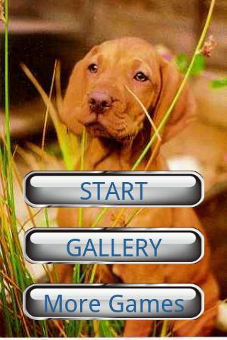 Dog Puzzle: Vizsla