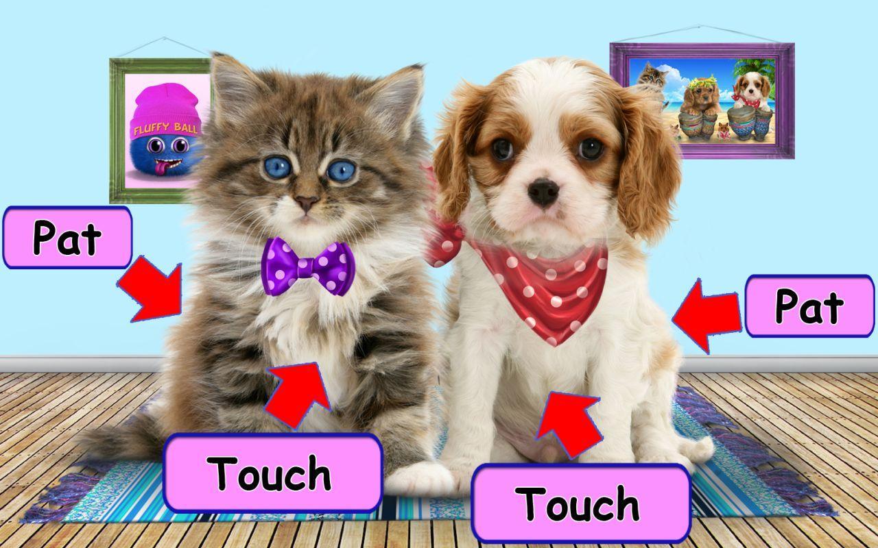 Talking cat. Talking puppy.