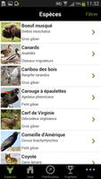 Zone Chasse