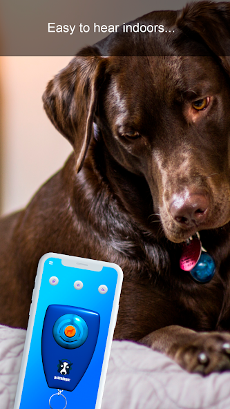 Dog Clicker