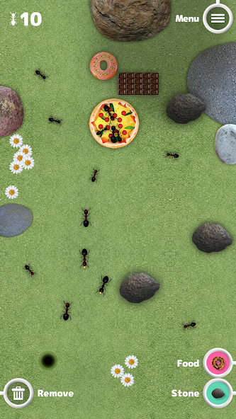 Great Ant Adventure