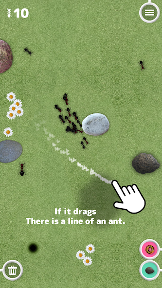 Great Ant Adventure
