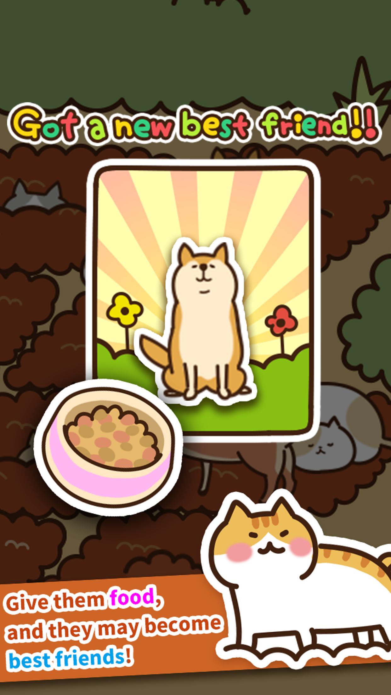Field of Cats
